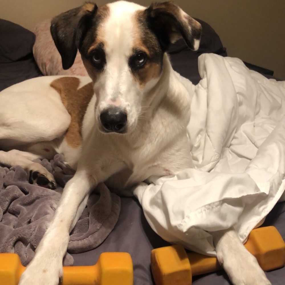 Meet your Posher, Kenzie